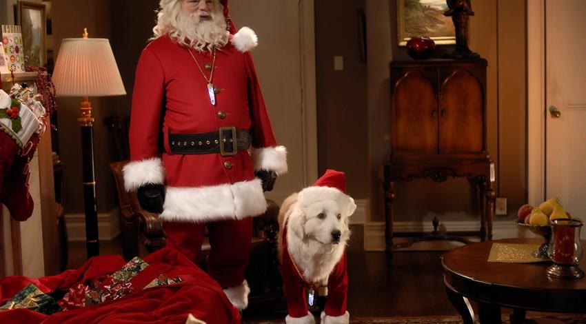 Richard Riehle | "The Search for Santa  Paws" (2010) **