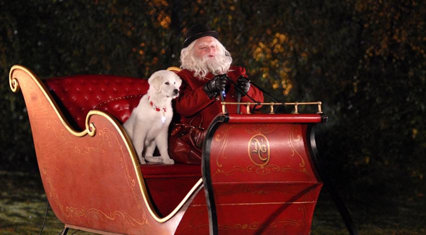 Richard Riehle | "The Search for Santa  Paws" (2010) **
