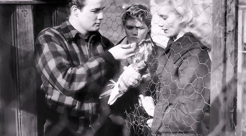 Marlon Brando, Arthur Keegan, Eva Marie Saint | "On the Waterfront" (1954)